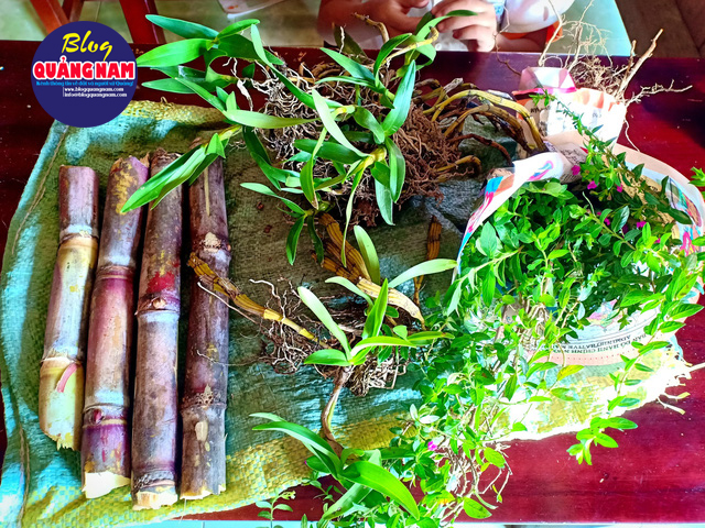 Những khúc mía, chùm lan rừng và bó hoa dại của các cháu học sinh vùng cao tặng cô giáo mình nhân ngày 20/11